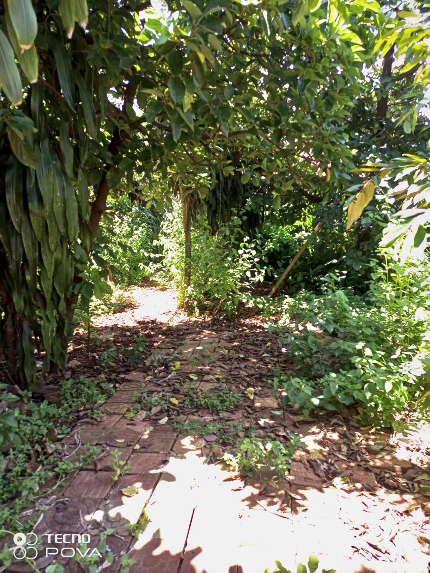 반룽 Familyhouse & Trekking 아파트 객실 사진